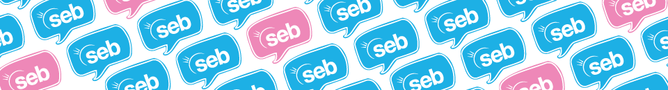 seb repeating logo